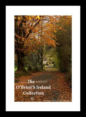 Bunratty Folk Park    ~   "Autumn Scene"   ~   Bunratty   ~    Co Clare ..... AS 1