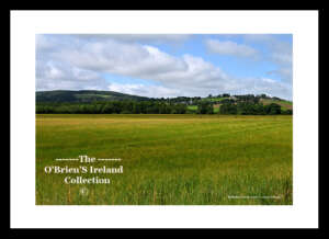 Ballyfin   ~   Landscape    ~    Co. Laois......3820