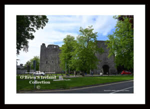 Maynooth    Castle  is a ruined castle  which stands at the entrance to the South Campus of Maynooth University. Constructed in the early 13th century, it became the primary residence of the Kildare Fitzmaurice and Fitzgerald family  ~     Person Street    ~    Co. Kildare.....2583