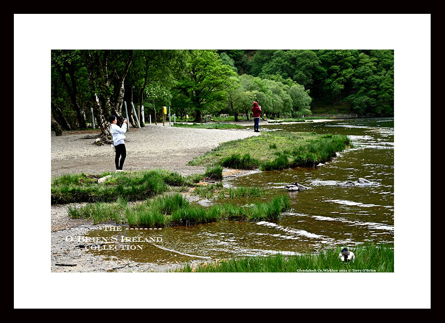 Glendalough Village ~ Glendalough upper Lake ~ Co Wicklow ......5113