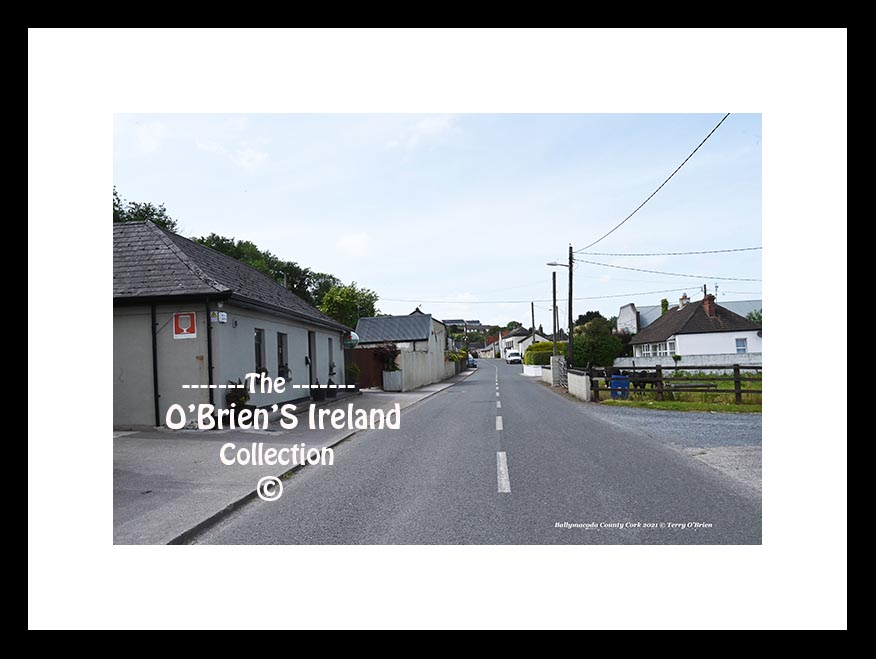 Ballymacoda Village ~ Co Cork.....5578