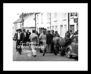 Belmullet     ~    Fair Day (1980)     ~      Co Mayo ....fday357