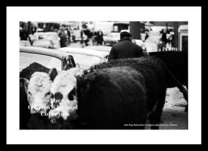 Belmullet     ~    Fair Day (1980)    ~   Co Mayo .....fday013