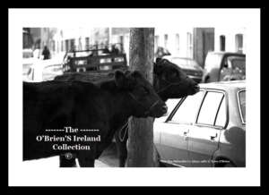 Belmullet      ~    Fair Day (1980)    ~    Co Mayo .....fday014