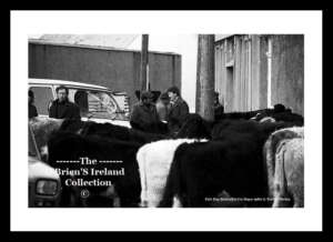 Belmullet    ~   Fair Day (1980)    ~    Co Mayo ....fday05