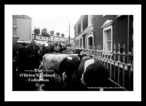 Belmullet     ~    Fair Day (1980)     ~    Co Mayo ......fday09