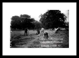 Traditional Farm Work    ~  Hay Making  ~    "Gathering the Harvest" ......L18/214